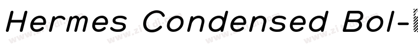 Hermes Condensed Bol字体转换